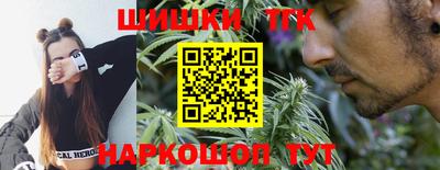 jwh Ставрополь